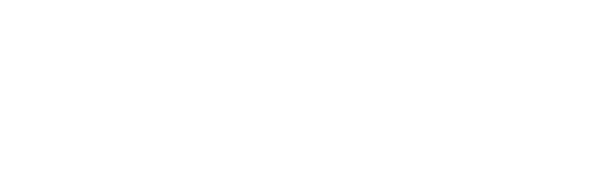 Portfolio Wayve Logo Image